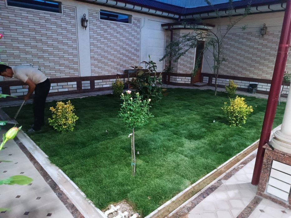 Yevro gazon sifatli va arzon