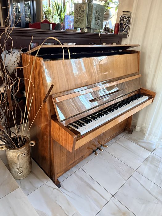 Pianina mecanica Ukraine Razno cu placa de bronz