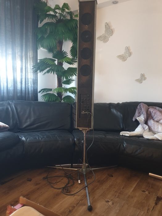 Boxa karaoke wireless