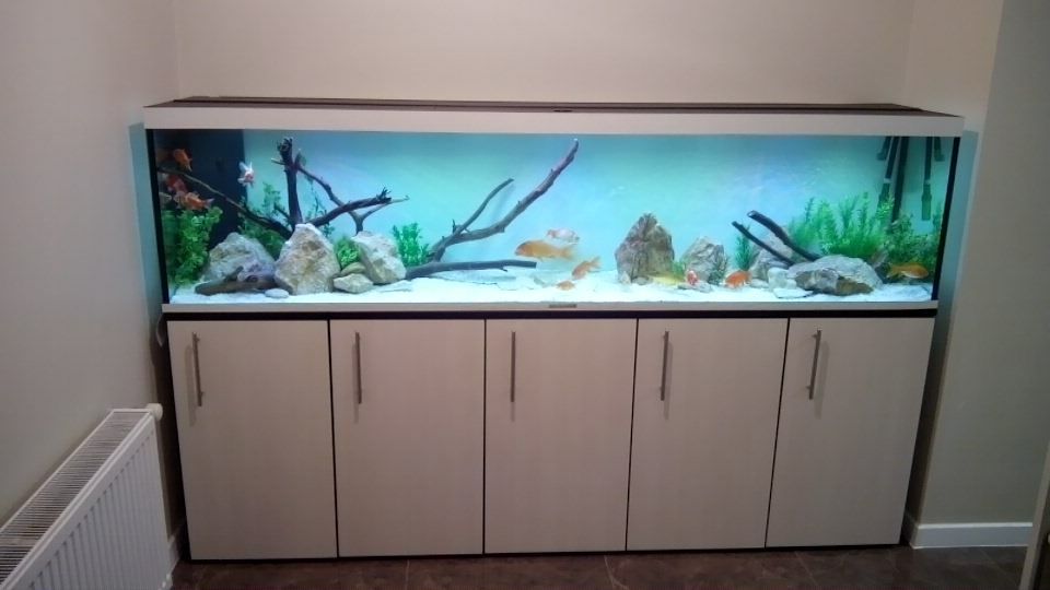 Ремонт аквариумов любой сложности
изготовление аквариум от50 до 2.5 лт