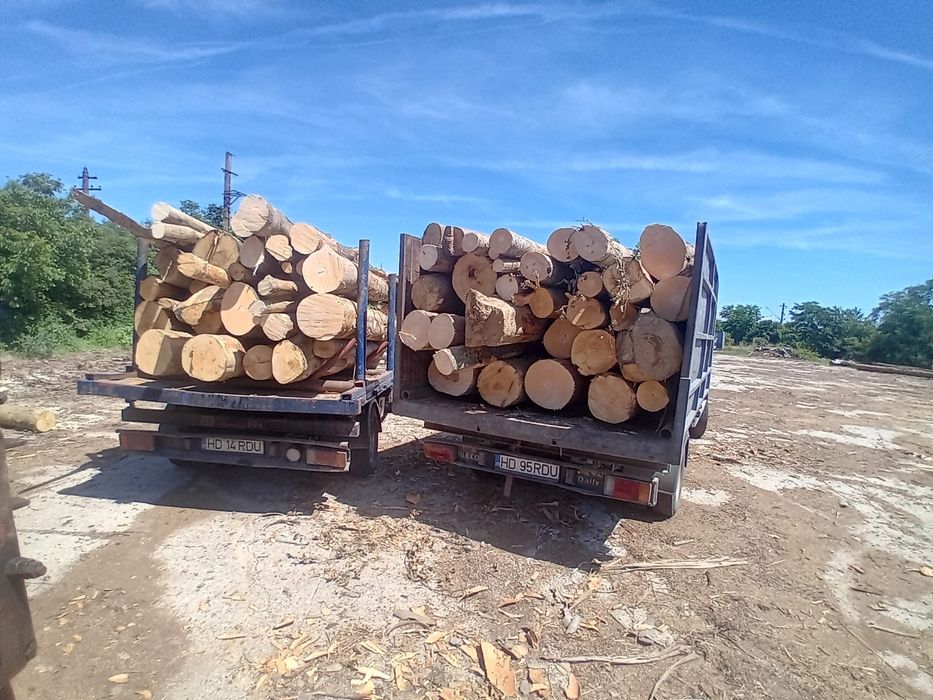 Vand lemn de foc Fag 7 m ster-1600 lei