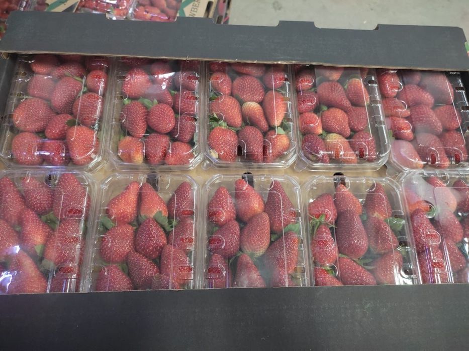 Египетская Клубника Свежая