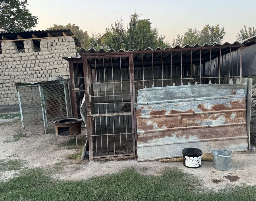 На продаже два валера для собак,и курятник!