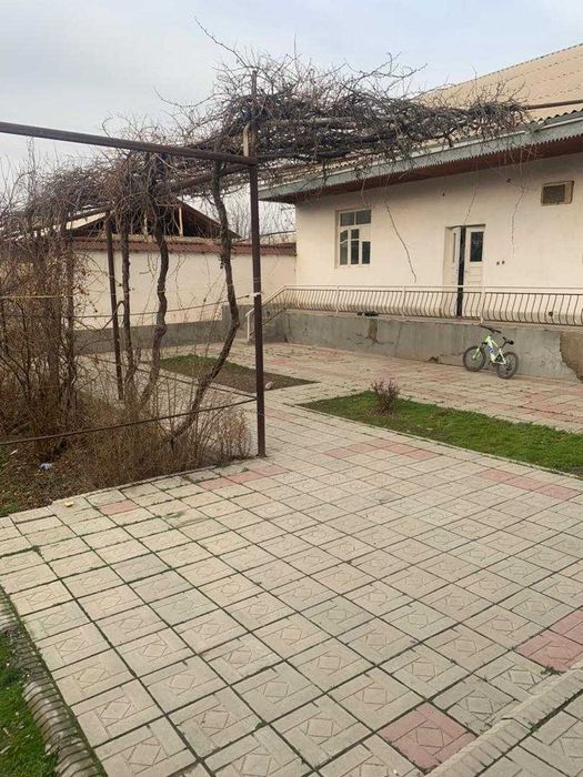 6 so'tixlik uchastka