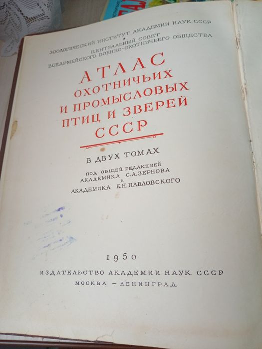 Роритет про охоту.