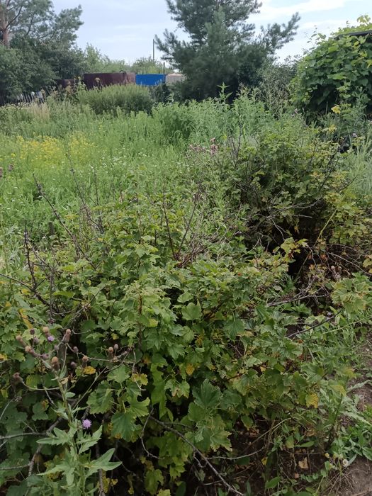 Продам дачу Со Дархан рассмотрим рассрочку