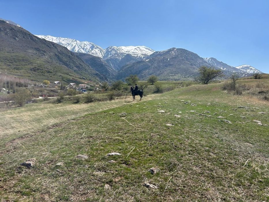 1га жер Акмешіт (Ленгер)