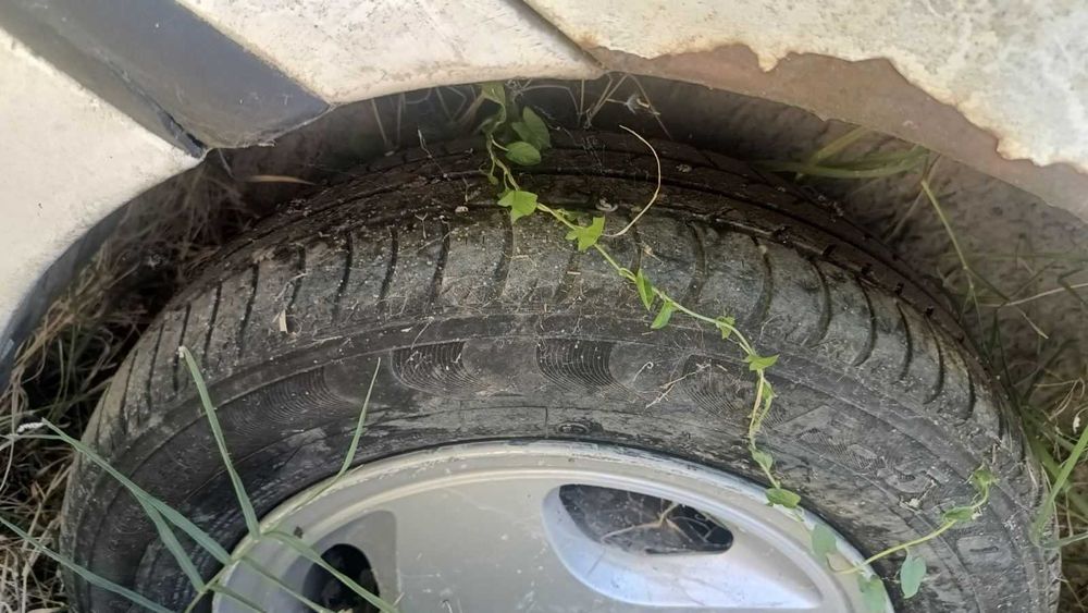 Джанти с гуми Fiat Bravo I