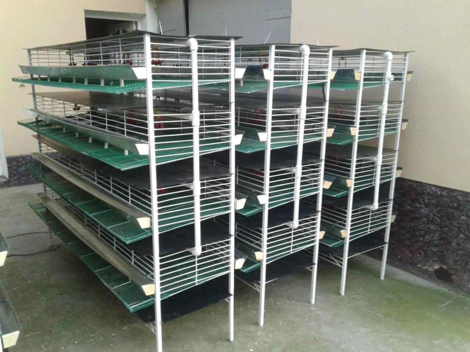 Бедана  кафас  сотилади