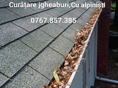 Plasa anti frunze, frunzar jgheaburi
