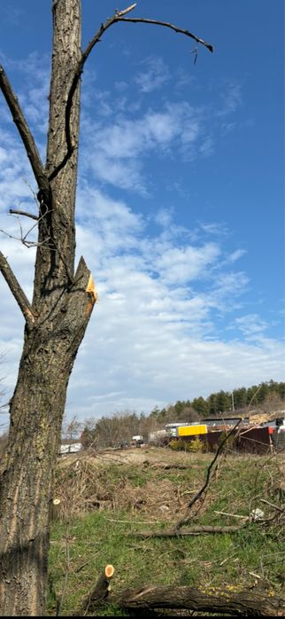 Продава се Парцел в с. Богомилово, Област Стара Загора - 1878 кв.м за 19 €/кв.м - Снимка #14