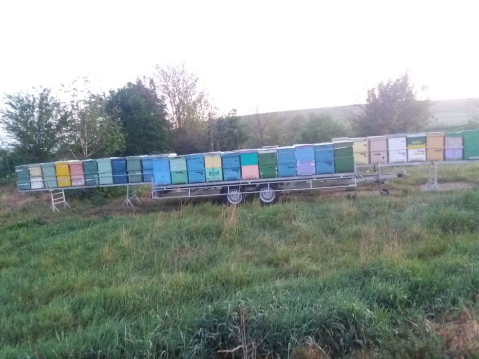Remorca Apicola An 2019