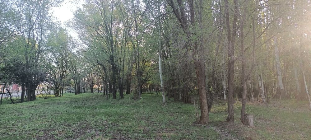 Құшатада екі Участок 15 соток