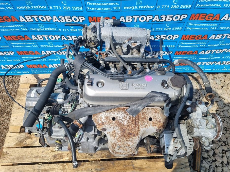 Мотор F22B на хонду.