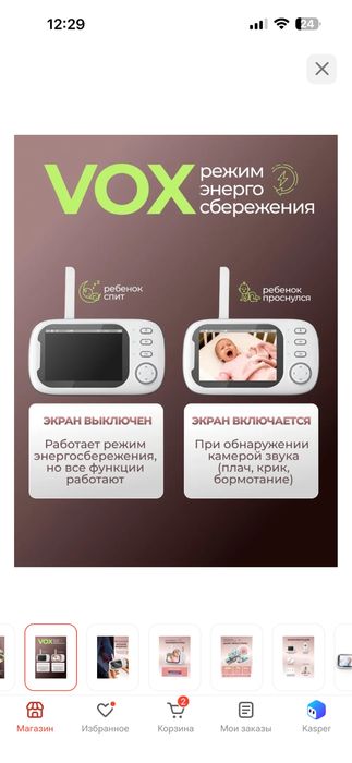 Видеоняня без интернета