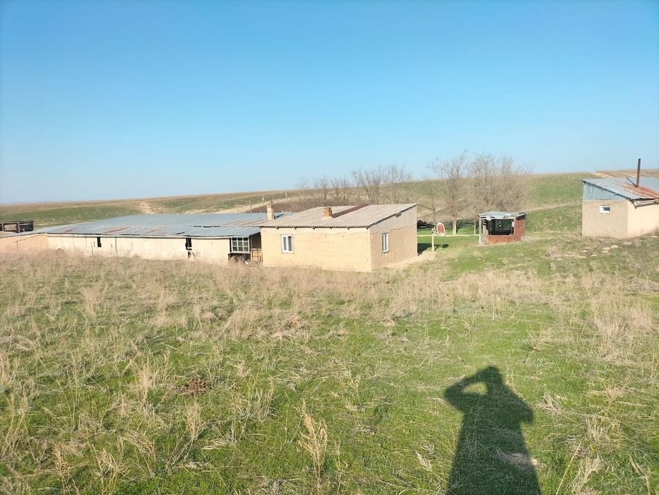 Фазенда, кашара 200га