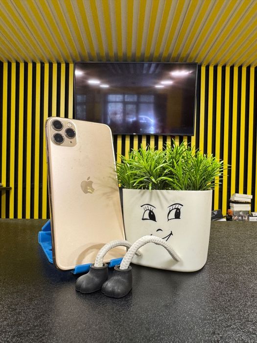 IPhone 11 Pro Max 64gb 100%