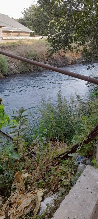 Ховли санатория бустон