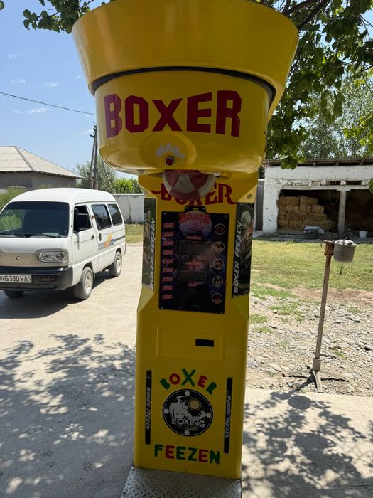 Boxer udarnik sotiladi
