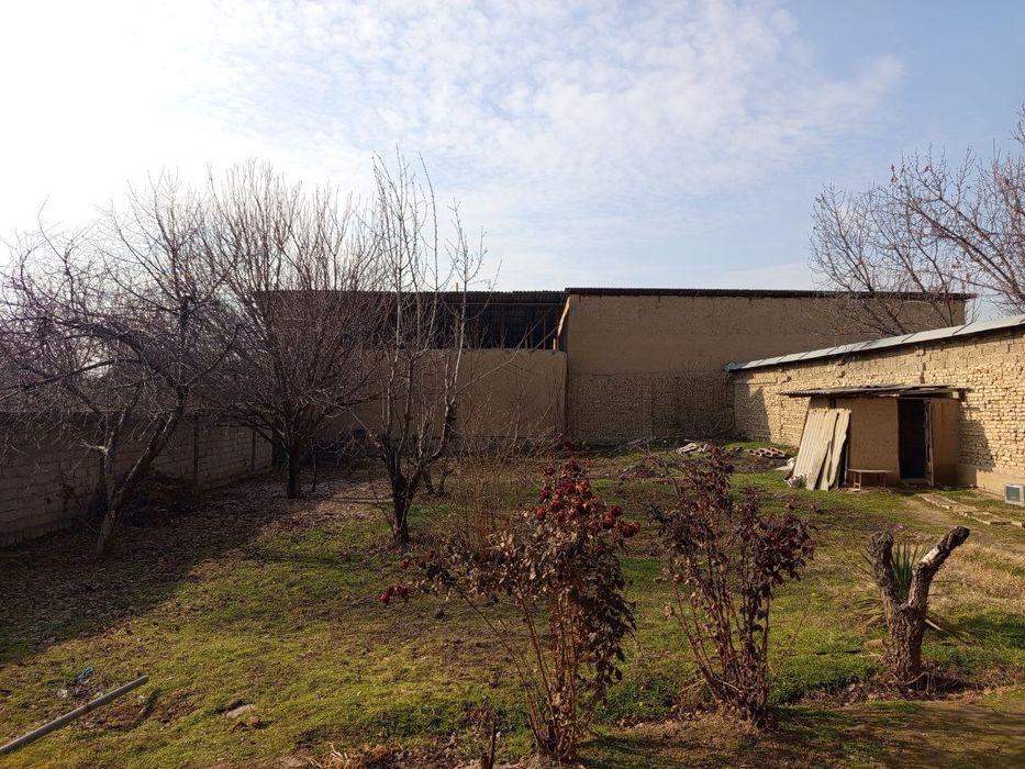 Келес кул тепа 2 ёки 1 сотих ер сотилади сотих ер сотилади