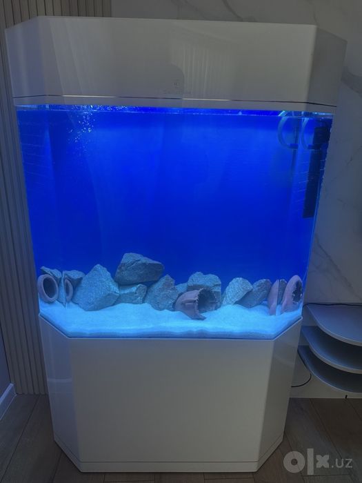 Cleir Aquatics orginal akril akvarium sotiladi