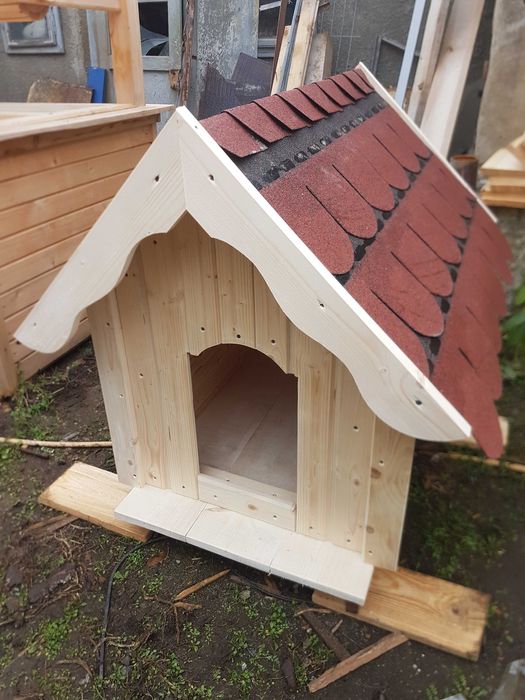 vand cusca caine. mica, mare.