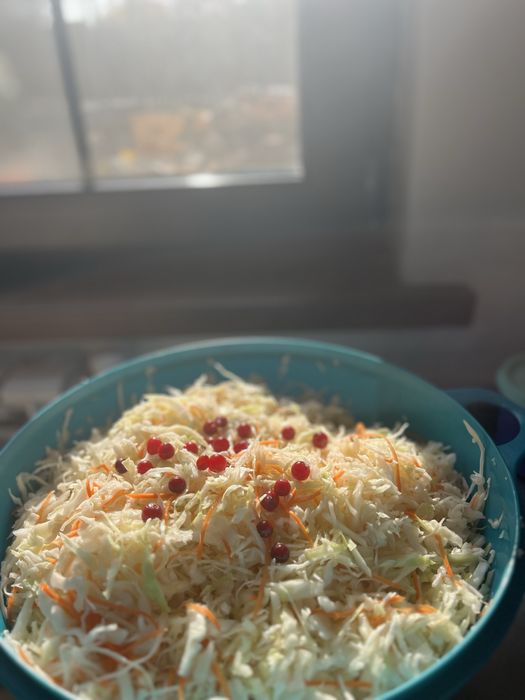 Продам квашенную капусту