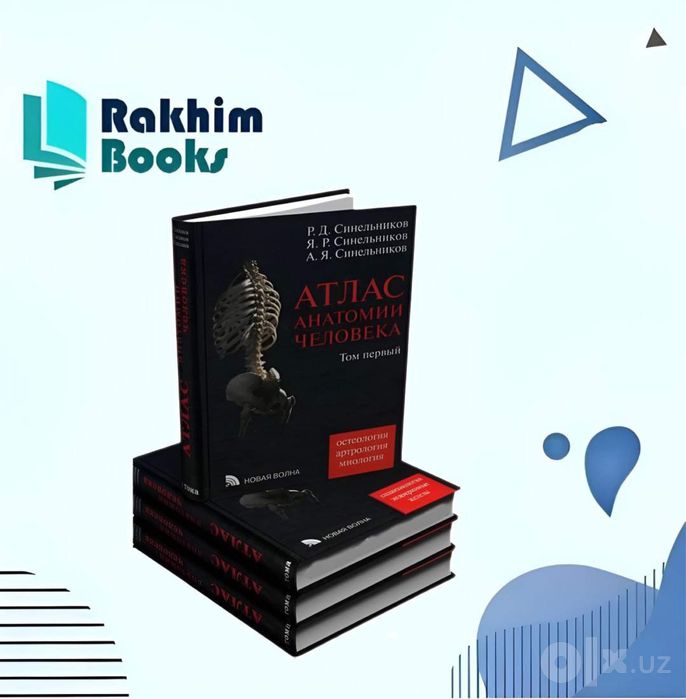 Синельников анатомия человека