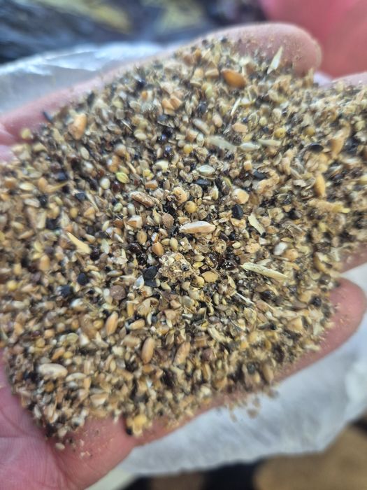 Продам пшеничные зерноотходы