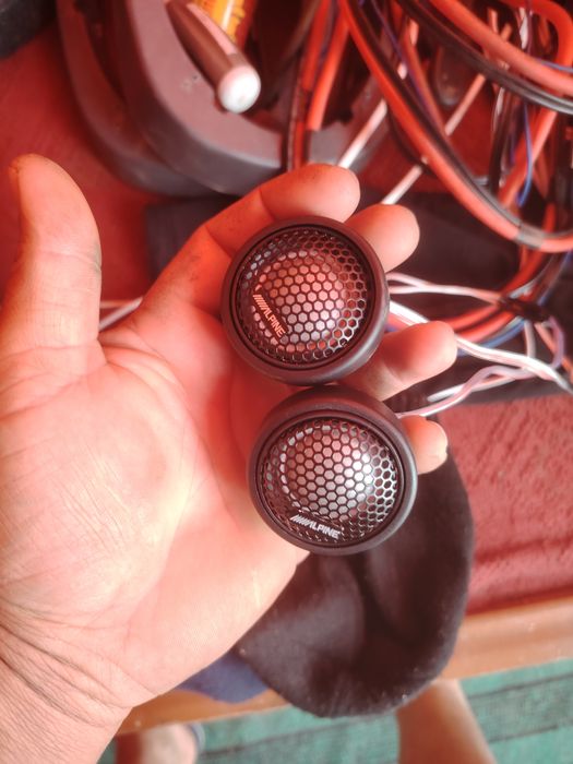 Pioner kapilekt zur xolatda