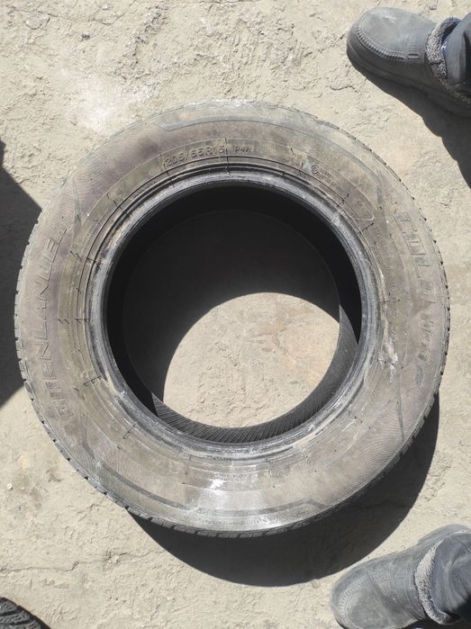 205/65/15 летняя 1шт