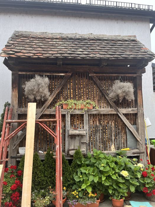 Coșer/porumbar