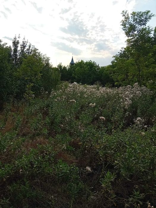 Teren Intravilan - Graniță Rep. Moldova
