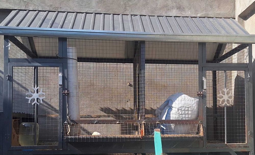 Tovuq katak sotiladi, zamonaviy, g'ildiraklari bor