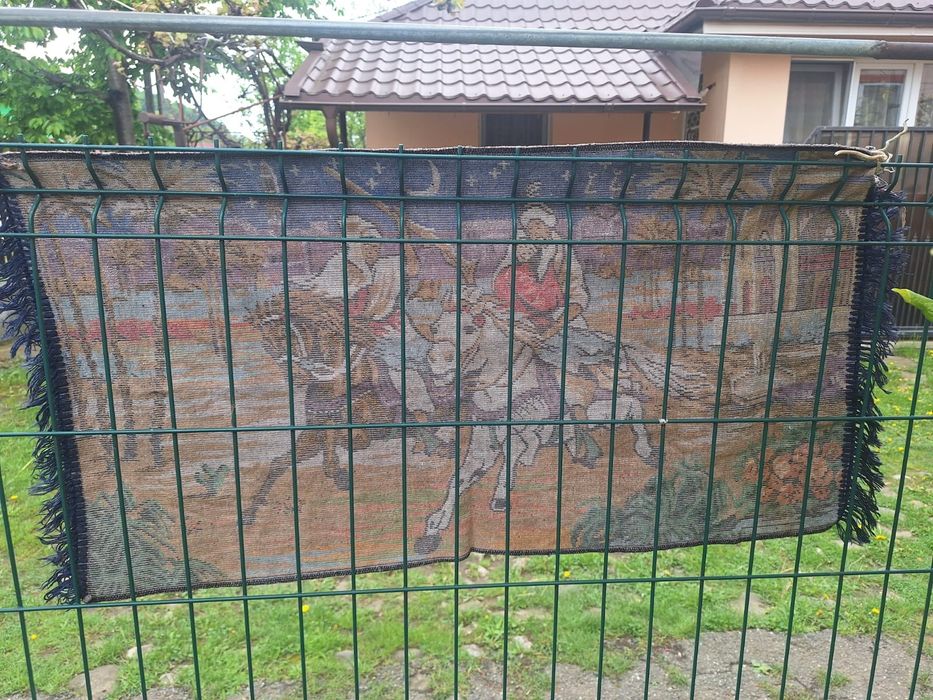 Carpeta Rapirea din Serai