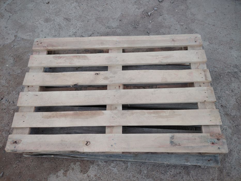 эвро подомсатылады