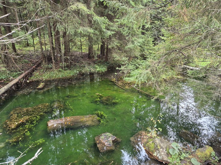 Teren de vis Valea Ierii