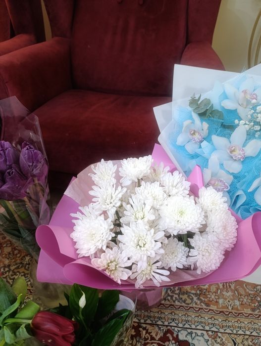 Цветы свежие красивые дешево