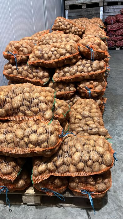 Cartofi Albi și Rozi