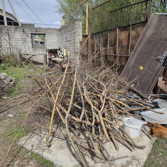 Дрова бесплатно самовывоз