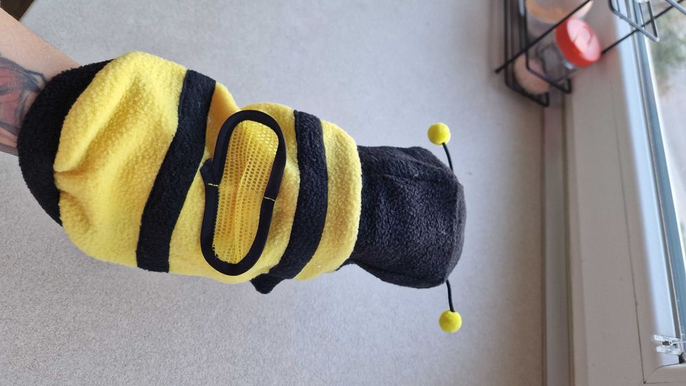 Дрехите за котки и малки куче