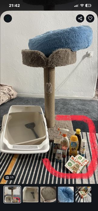 Продам комплект для кошки