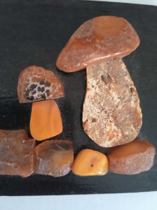 Картина с балтийски кехлибар 9.,0*10,5 см