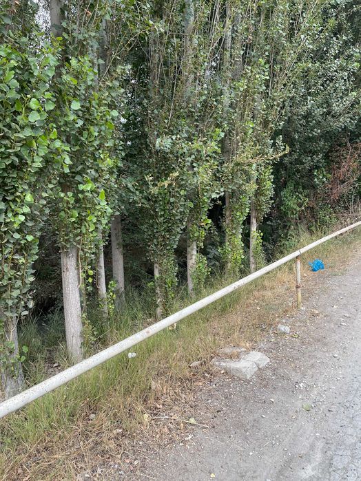 Fargona viloyati, Fargona tumani, Yangi ariq 8 a  8 sotix yer sotiladi