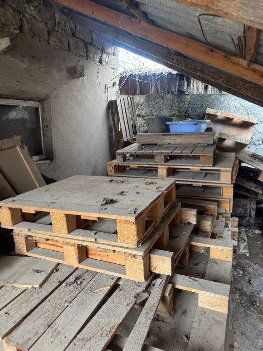 Потдон Палет евро