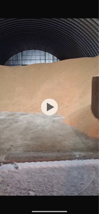 Продажа пшеницы, подсолнечника