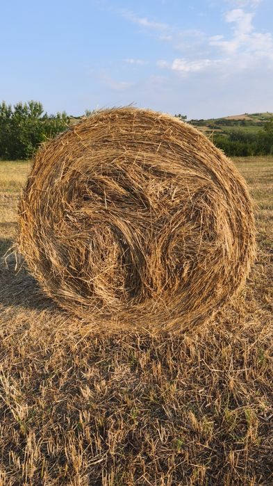 Baloți de fân de vânzare