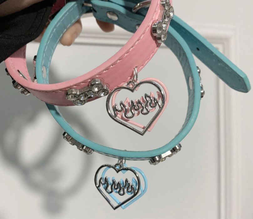 Гаджеты Для собак