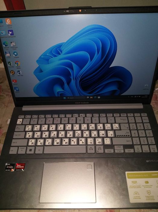 Asus vivobook go
