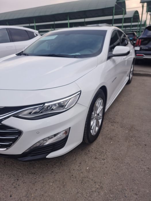 2020й Малибу 15 пример